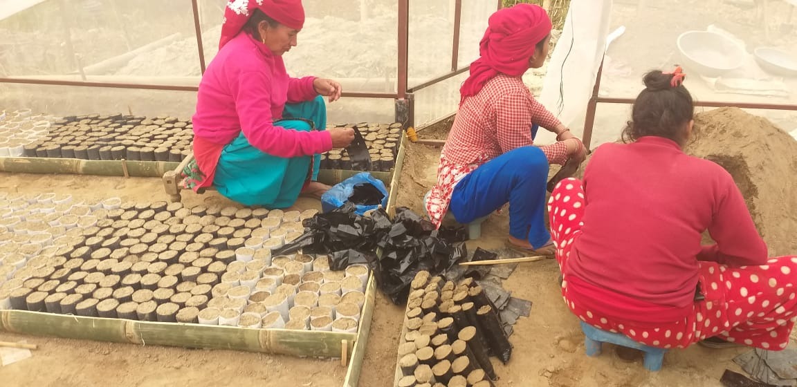 Image Nursery at the service of the Rain Communities