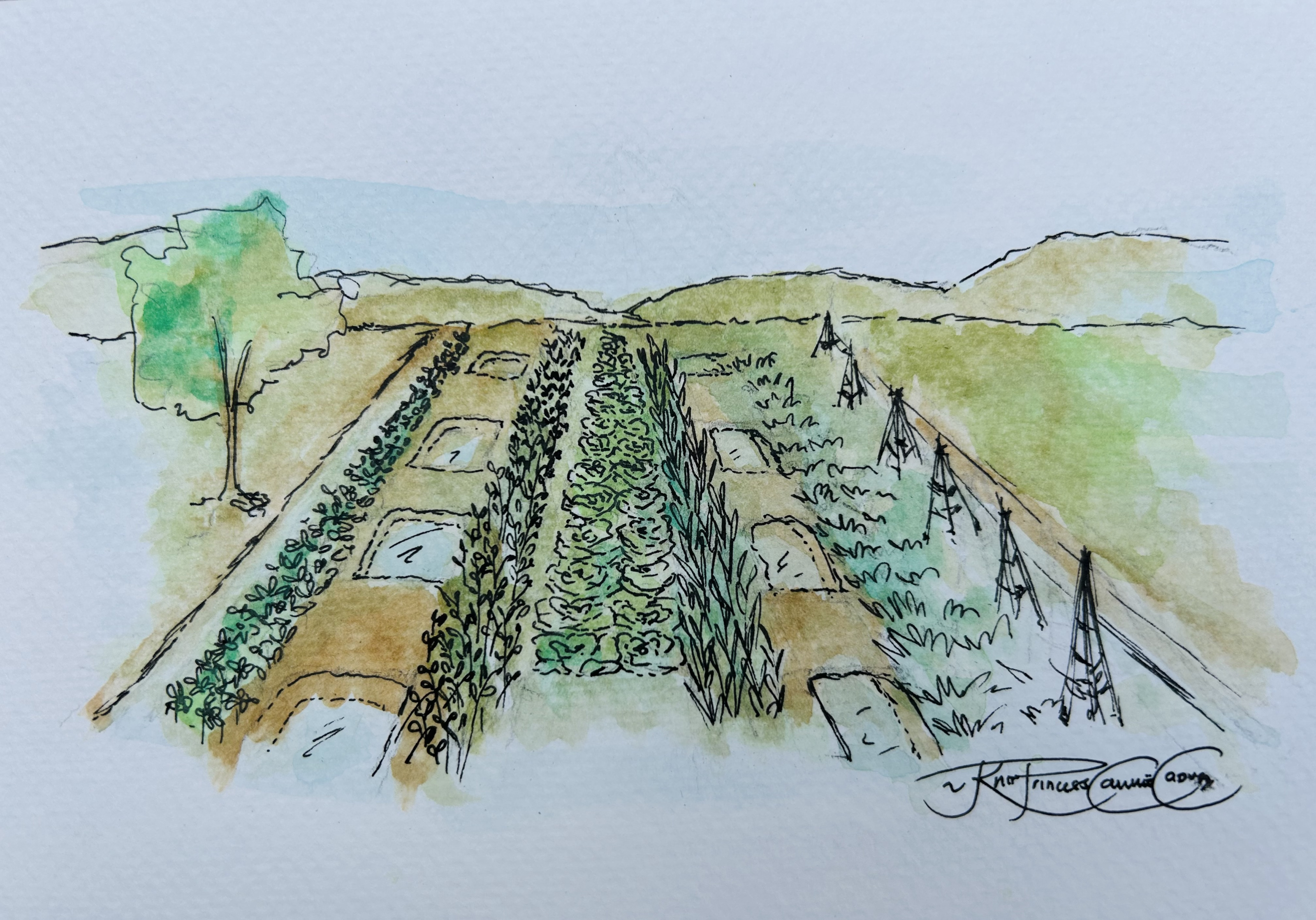 Image Resilient water management on a watershed scale