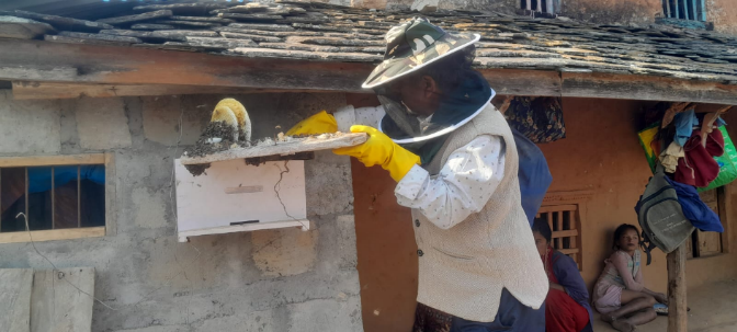 Image Nepal - Bees for biodiversity and the rural economy