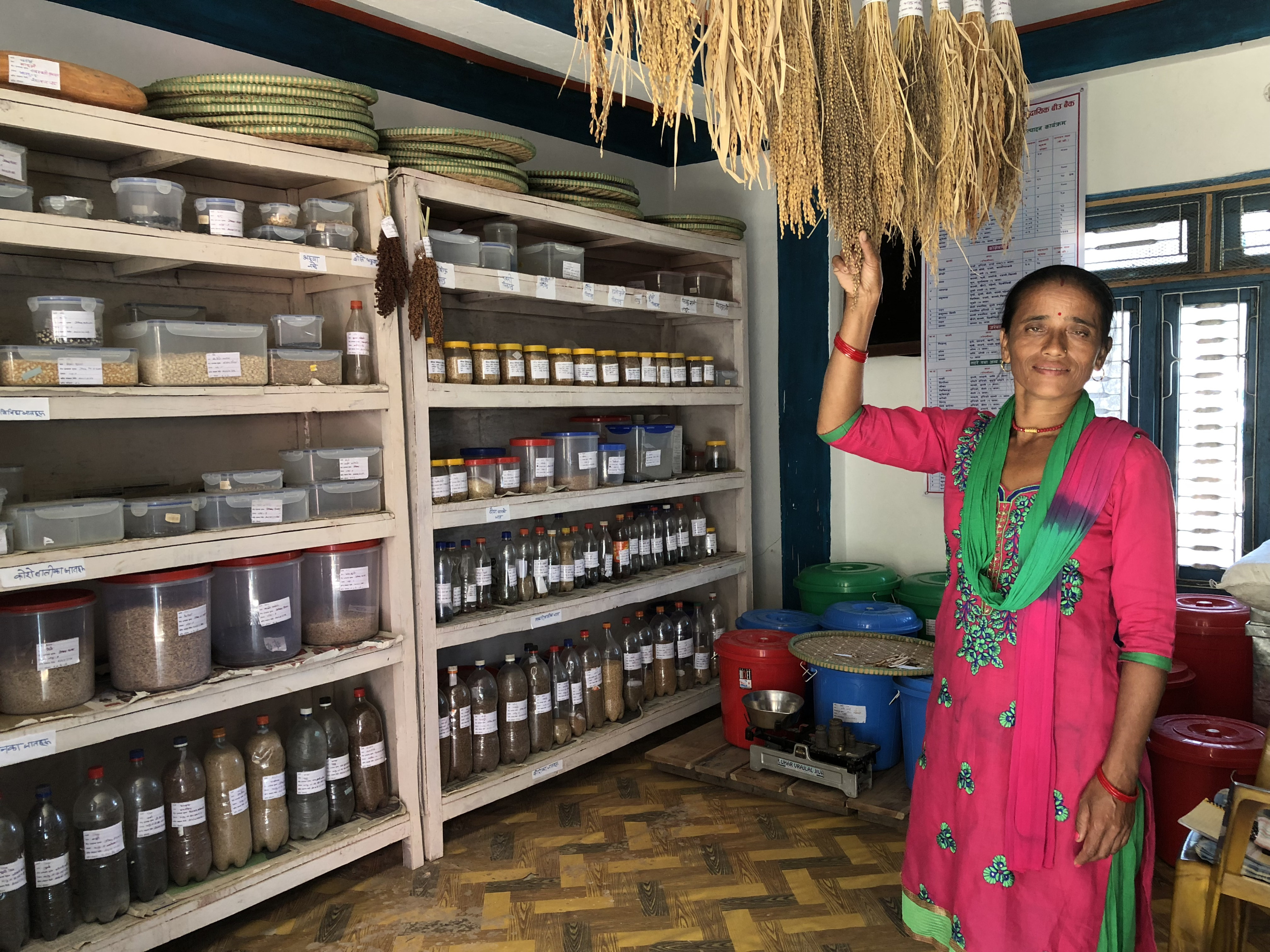 Image Empowering Communities: Annapurna's Community Seed Bank Transforms Agriculture and Lives