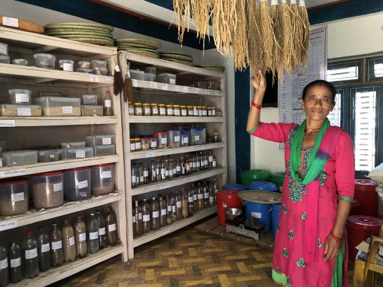 Image Empowering Communities: Annapurna's Community Seed Bank Transforms Agriculture and Lives
