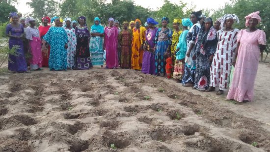 Image Strengthening women's groups in agro-ecological practices