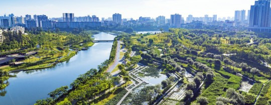 Image Sponge Cities: A Revolutionary Approach to Urban Water Management