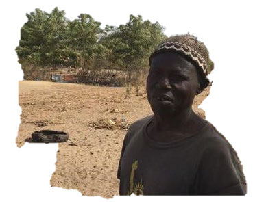 (Beneficiary farmer, Fatick, Senegal) Credits@IRHA, 2019