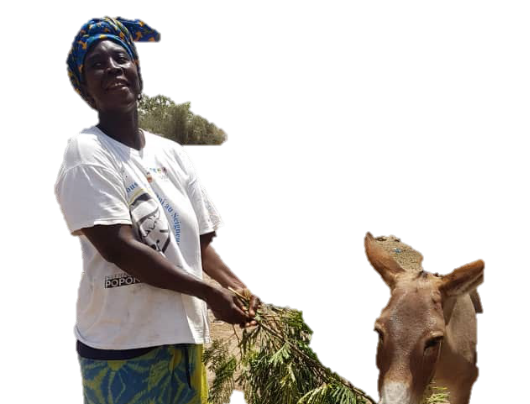 (Beneficiary farmer, Fatick Senegal) Credits @IRHA, 2019